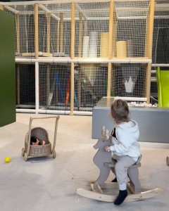 883.240925.111503_c304d95c00ea522704aa72c7f233e85a-transformed